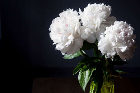 A bouquet of white peonies in a transparent vase on a dark backgroundの写真素材