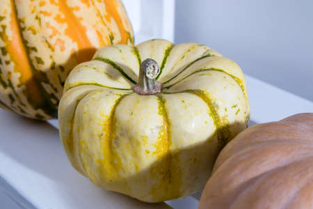 different varieties of pumpkins lie on a white shelf of the rack in the kitchen interiorの写真素材