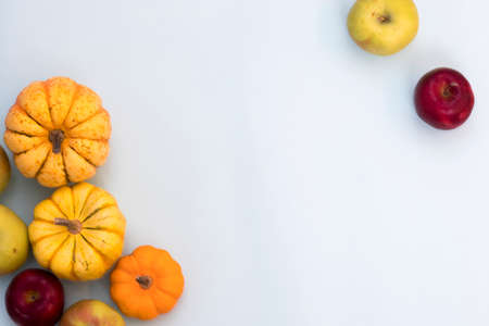 Orange pumpkins, top view on the blue background , web banner with copy space