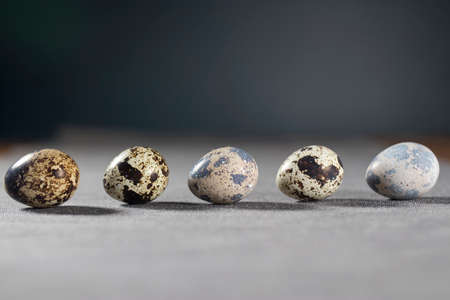 Quail eggs pattern on grey background, close up. Easter decoration of the kitchenの写真素材
