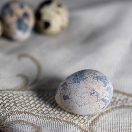 Quail eggs pattern on grey background, close up. Easter decoration of the kitchen