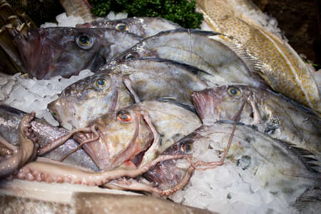 Fresh fish on ice. Sale of fresh frozen fish on farmer's bazaar. Open showcases of seafood market. Fish storeの写真素材