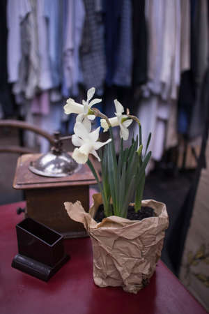 London, UK - 13 February, 2020 Spitalfields flea market. White daffodils in a pot wrapped in kraft paper on the background of a coffee machine and shirtsのeditorial素材