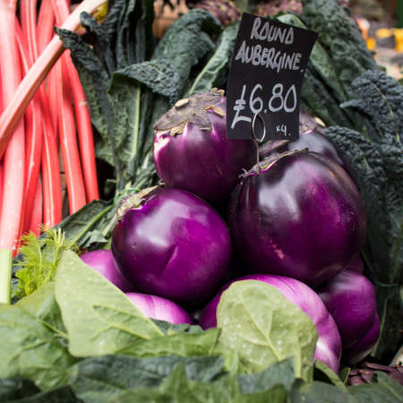 Round eggplant surrounded by kale and rhubarb cabbage for sale at a farmers marketの写真素材