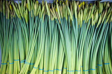 Unraveled daffodils in a box for sale at a farmers marketの写真素材