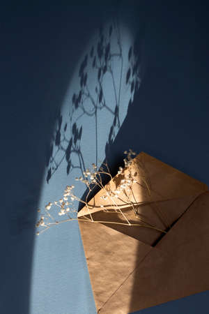 Dry gypsophila in an empty envelope on a blue background. Copy spaceの写真素材