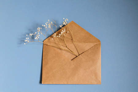 Dry gypsophila in an empty envelope on a blue background. Copy spaceの写真素材