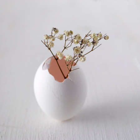 An empty egg is used instead of a vase. Baby's breath in an egg on a gray wooden table. Copy space