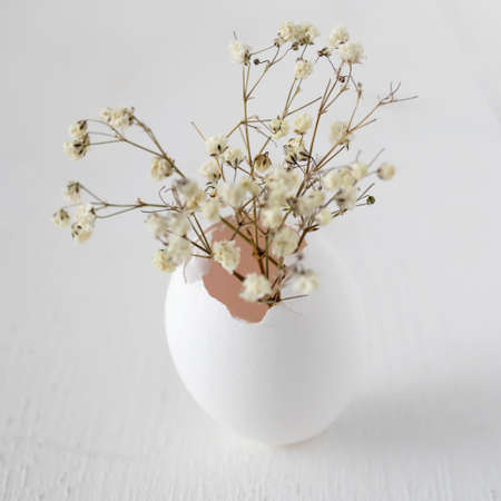 An empty egg is used instead of a vase. Baby's breath in an egg on a gray wooden table. Copy space