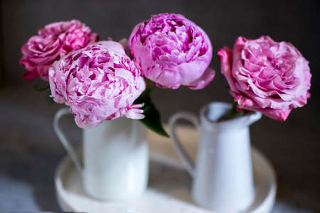 Short cropped bouquet of fresh pink peonies in porcelain jugs on a white tray on a gray craft background. Copy spaceの写真素材