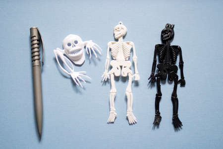 Halloween decoration set: Skeletons, flies, spiders, beetles, skulls on a light blue background....