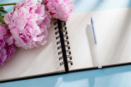 Three fresh blossoming pink peonies lie on a white open notebook. Space for text. To do list....