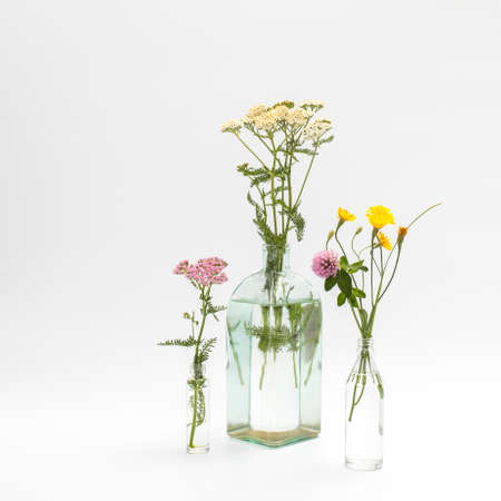 Wild field herbs in bottles of different shapes on a white-gray background as a decoration. Card, Bottle of essential oil with herbs on white backgroundの写真素材