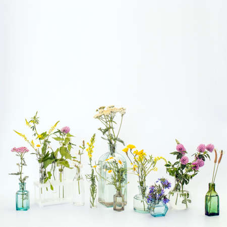Wild field herbs in bottles of different shapes on a white-gray background as a decoration. Card, Bottle of essential oil with herbs on white backgroundの写真素材