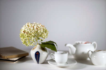 White teapot, cup and saucer and milk jug for tea drinking. green dried hydrangea in a small earthenware vase in the style of the seventies adorns the white table.の写真素材
