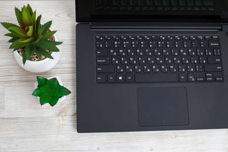 Office desk wood table of Business work place, notebook, artificial plant and coffee cup with copy space.の写真素材