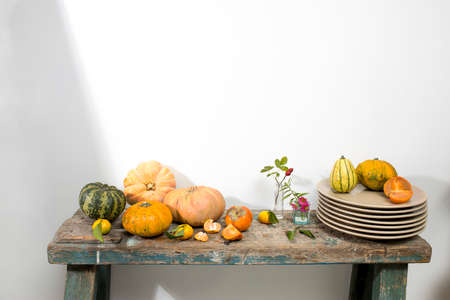 rose hips and yellow fruits and vegetables: pumpkin, japanese quince, tangerine, persimmon, slice, lemon, orange on a white background. minimal concept. Square frame. Copy spaceの写真素材