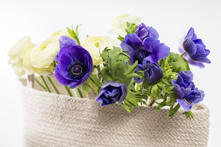 Persian white yellow buttercups and blue anemone in a beige wicker basket on a white background