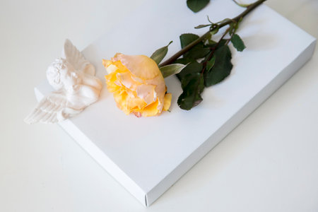Orange rose with porcelain angel are on white notebookの写真素材