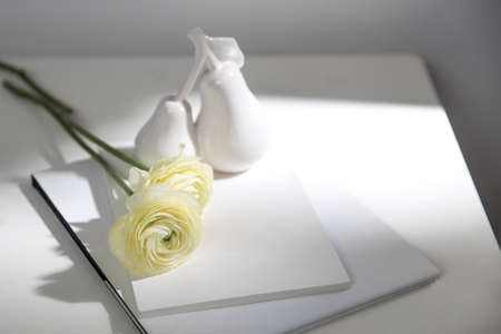 Two white ranunculus with shadow on two white albums on the table. Copy space. Figurine of pearsの写真素材