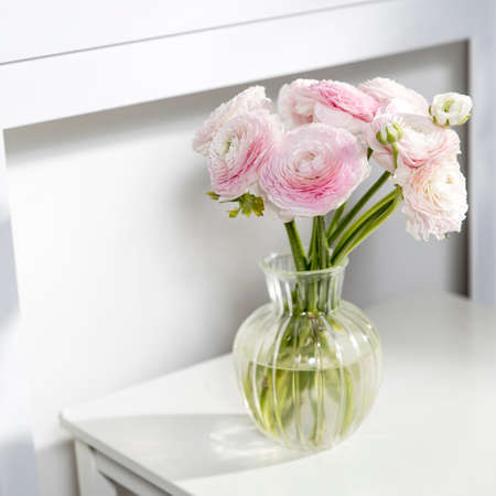 the Bouquet of pale pink Persian buttercups isolated on pale gray. Copy spaceの写真素材