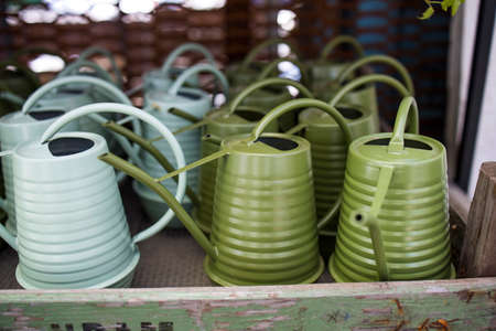 Various types of green plastic watering cans and a bouquet of dried hawthorn on the windowの写真素材