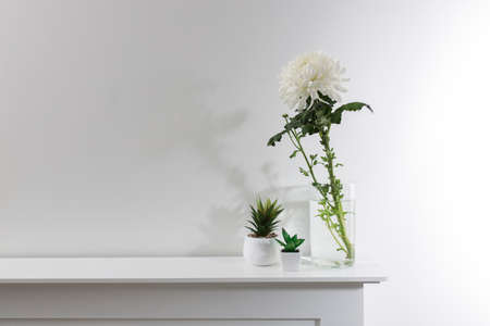 Large white chrysanthemum in a glass transparent vase and two artificial succulents are on the table. Copy space.の写真素材