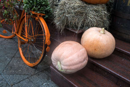 Two large pumpkins and an orange bicycle decorate the entrance to the house on the eve of Halloweenの写真素材