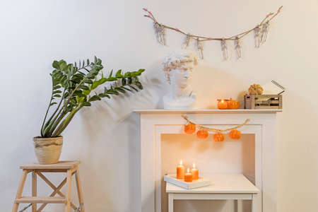 Apollo's plaster head. Zamioculcas plant in clay pot on stool. A garland of skeletons hangs on wall....