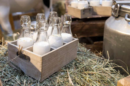 Milk - decoration on farm. Agriculture, farming. Farmer milk in bottles. Natural milk, organic milk. Vintage ornament with hay, straw and bottles with yogurt. Farmer product. Rustic decor. Productsの写真素材