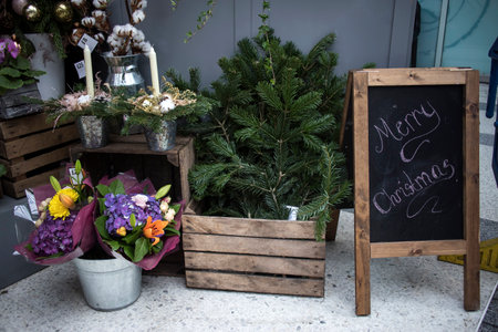 London, UK - 20 November 2020, Entrance to the flower shop. Fir branches. Hyacinths in a bucket....