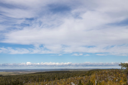 Swamp or lake with megalithic seid boulder stones, dead trees in nature reserve on mountain Vottovaara, Karelia, Russia. Autumn in montainの写真素材