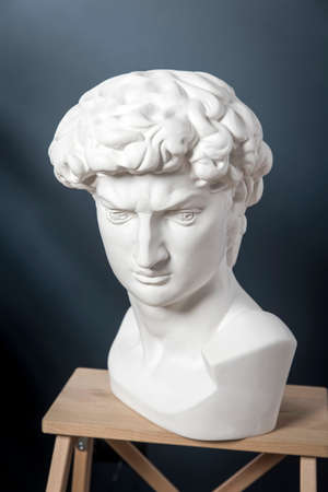 A plaster cast of David's head stand on a stool in a dark blue roomの写真素材