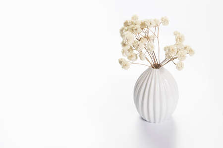 Copy space. Place for text. A vase with white dry flowers stands on a tray for Valentine's Day. Isolated on the white backgroundの写真素材