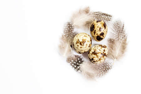 Rustic quail eggs and bird feathers are isolated on white. Copy space. Place for textの写真素材