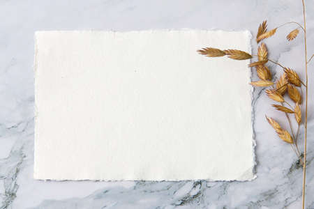 Blank paper business cards with mockup copy space on rye, wheat stalks on marble background. Minimal business template. Flat lay, top view.の写真素材