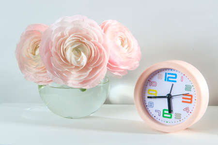 Three pale pink ranunculus in a transparent round vase on the white windowsill. copyspace. Place for...