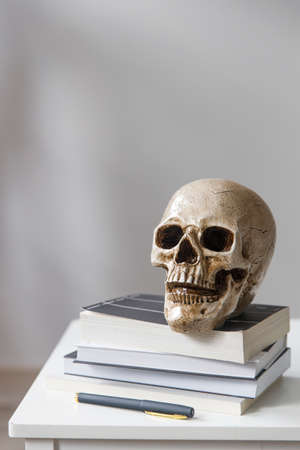 Pile of the book with a human plastic skull is over white backgroundの写真素材
