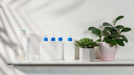 Peperomia magnoliifolia in the pot. White bottles with a blue dispenser with shampoo, conditioner, cream and liquid soap stand on a shelf in the bathroom. Place for text.の写真素材