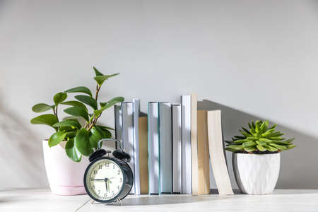 Peperomia magnoliifolia in a pink plastic pot, echeveria in a ceramic pot, a stack of books is on the bookshelf. a teenager's room. The alarm clock shows the time of half past five in the morningの写真素材