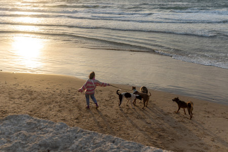 Tel Aviv Israel - 07 March 2023, A girl in a pink and white striped sweater walks her dogs along the beach along the sea.のeditorial素材