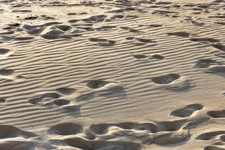 Footprint of a bare human foot in the sea sand in summer evening