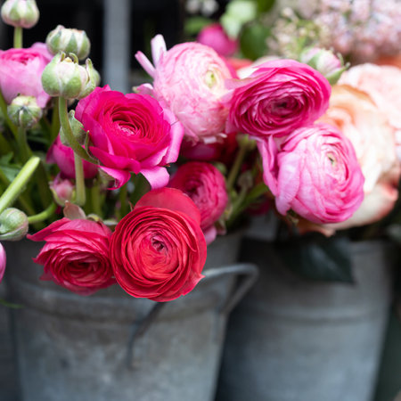 Bouquet of pink ranunculus and red roseの写真素材