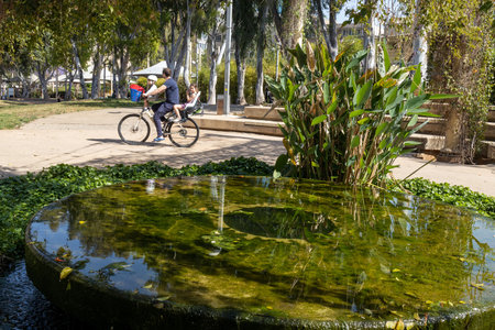 Tel Aviv, Israel - May, 2023. A small fountain in a pond in a public garden near the Florentin district, overgrown with algae and greenery. A father is carrying two children on a bicycle.のeditorial素材