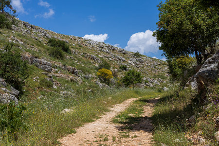 Mount Meron is a mountain in the Upper Galilee region of Israel. It has special significance in Jewish religious tradition and parts of it have been declared a nature reserveの写真素材