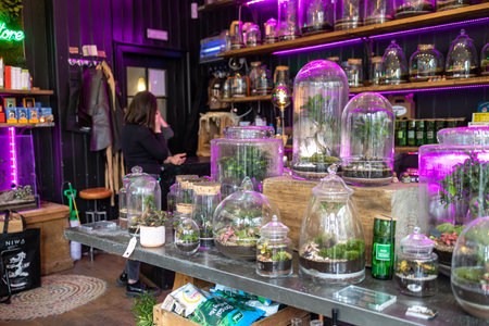 London, UK - April 2023, shop selling flower ecosystems in large glass jarsのeditorial素材