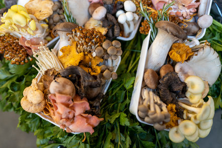 Different types of mushrooms for sale on a counter at Borough Marketの写真素材