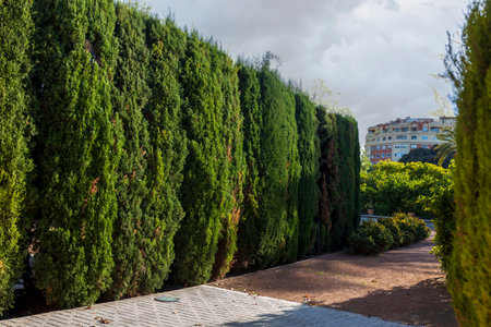 A small Landscape park in the city center, with neatly trimmed trees and gravel paths.の写真素材
