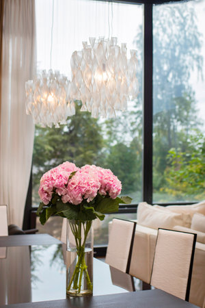 Dutch pink hydrangea, a tall bouquet in a simple glass vase on a table under a decorative chandelier opposite the window as interior decoration.の写真素材