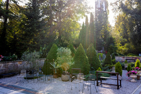 Agave in a pot among trimmed thuja, juniper, and round stones. Chair and bench. Landscape design in the park.の写真素材